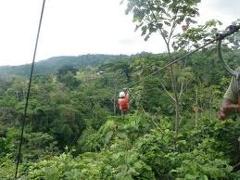Jungle Canopy & Zipline Tour